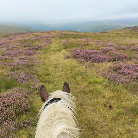 Pentre Riding Stables Hotell Abercraf Eksteriør bilde