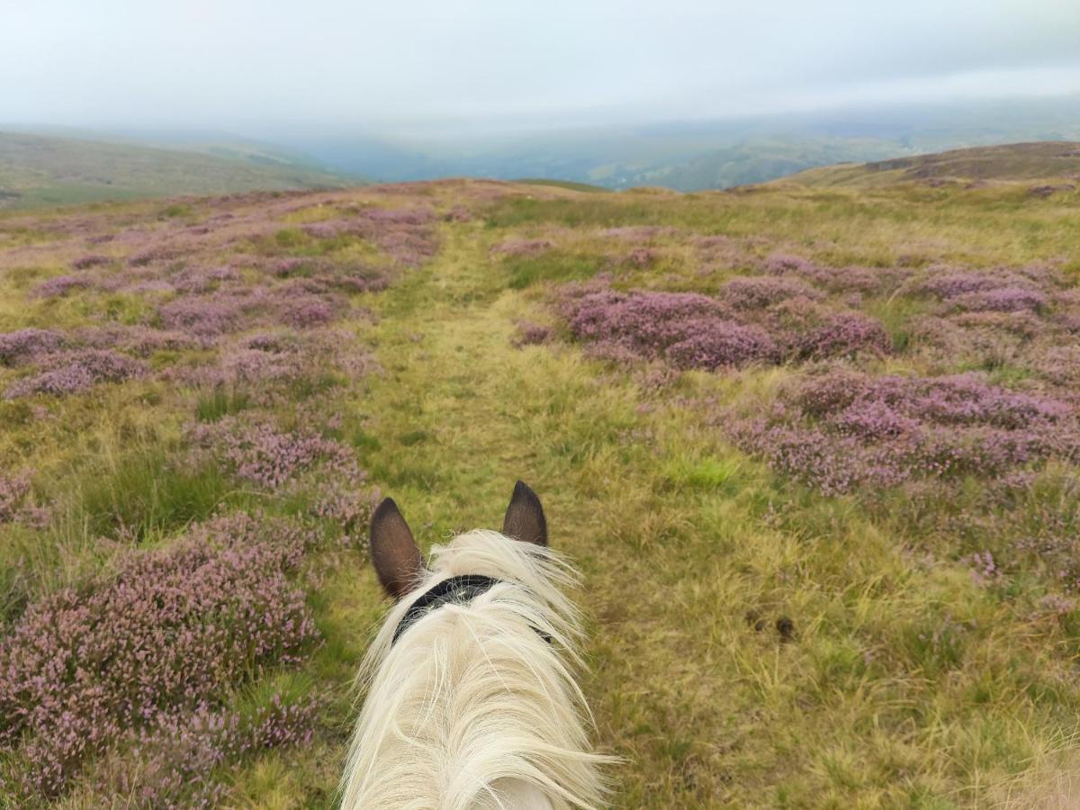 Pentre Riding Stables Hotell Abercraf Eksteriør bilde
