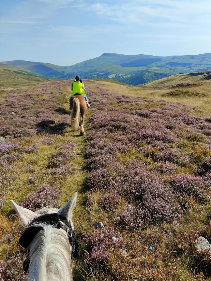 Pentre Riding Stables Hotell Abercraf Eksteriør bilde
