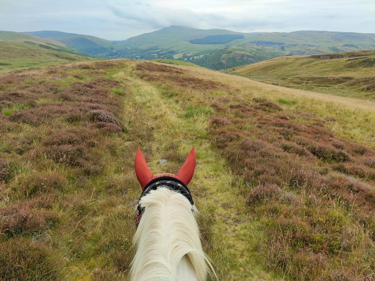 Pentre Riding Stables Hotell Abercraf Eksteriør bilde
